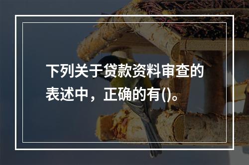 下列关于贷款资料审查的表述中，正确的有()。