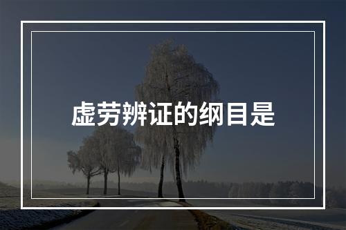 虚劳辨证的纲目是