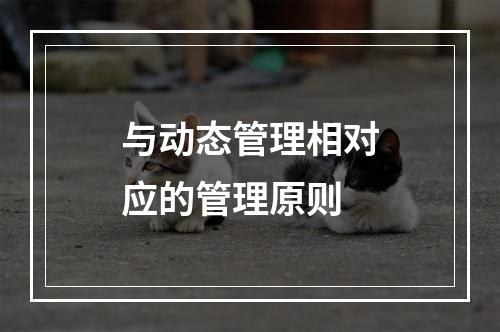 与动态管理相对应的管理原则