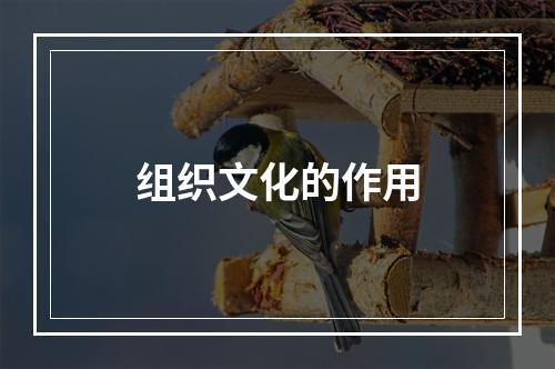 组织文化的作用