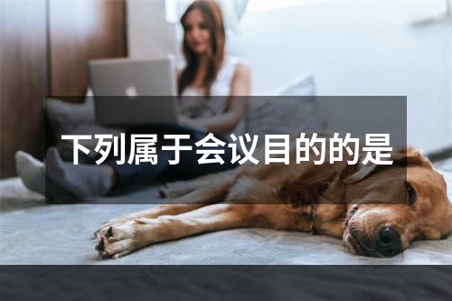 下列属于会议目的的是