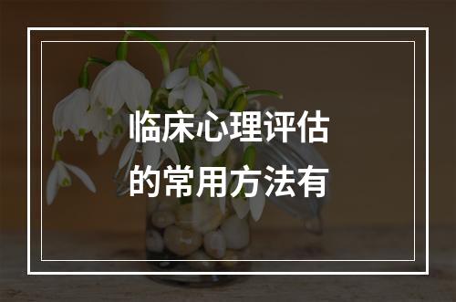 临床心理评估的常用方法有