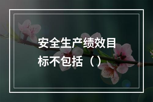 安全生产绩效目标不包括（ ）