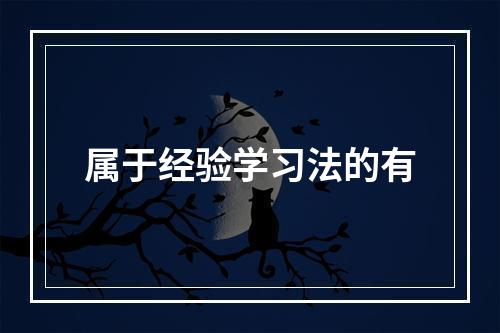 属于经验学习法的有