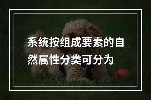 系统按组成要素的自然属性分类可分为