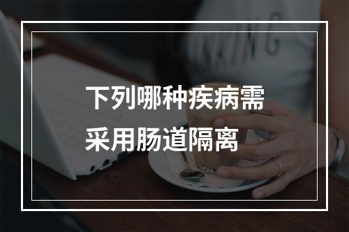 下列哪种疾病需采用肠道隔离