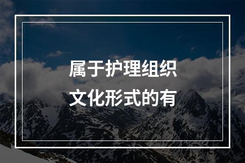 属于护理组织文化形式的有