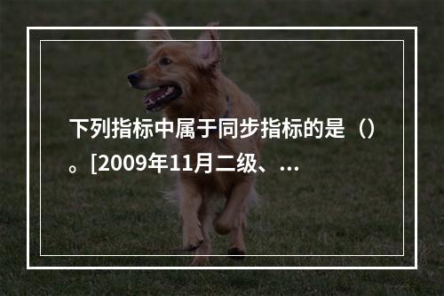 下列指标中属于同步指标的是（）。[2009年11月二级、三级