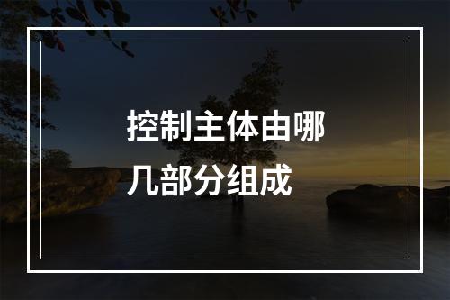 控制主体由哪几部分组成