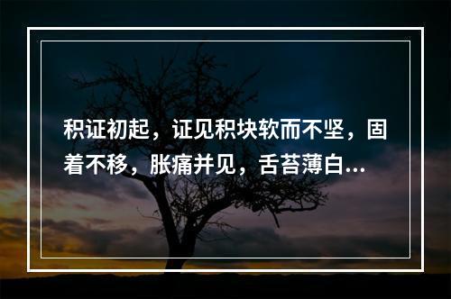 积证初起，证见积块软而不坚，固着不移，胀痛并见，舌苔薄白，脉