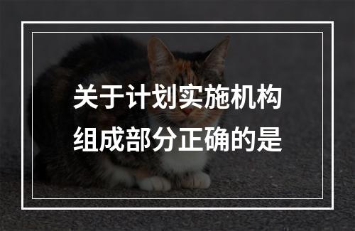 关于计划实施机构组成部分正确的是