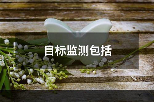 目标监测包括