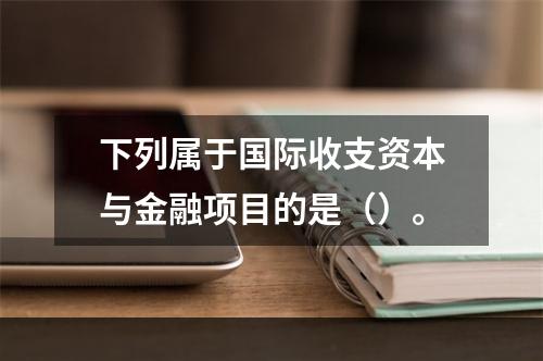 下列属于国际收支资本与金融项目的是（）。