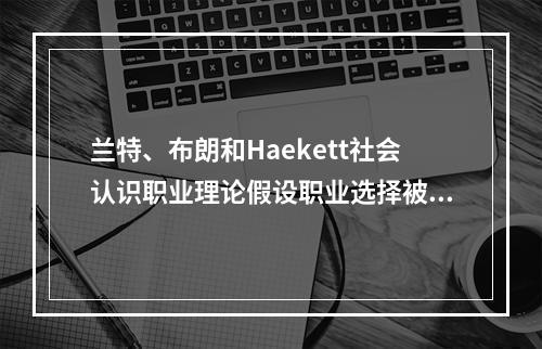 兰特、布朗和Haekett社会认识职业理论假设职业选择被个