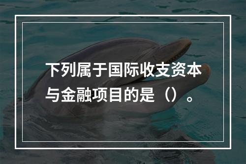 下列属于国际收支资本与金融项目的是（）。