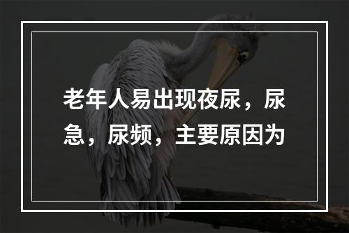 老年人易出现夜尿，尿急，尿频，主要原因为