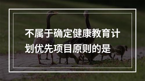 不属于确定健康教育计划优先项目原则的是