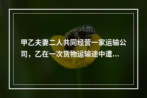 甲乙夫妻二人共同经营一家运输公司，乙在一次货物运输途中遭遇