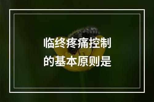 临终疼痛控制的基本原则是