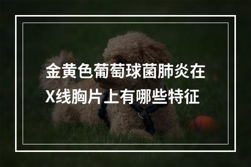 金黄色葡萄球菌肺炎在X线胸片上有哪些特征