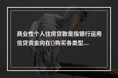 商业性个人住房贷款是指银行运用信贷资金向在()购买各类型住房