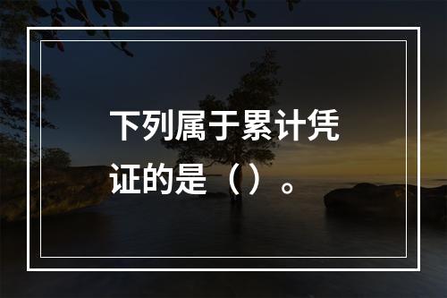 下列属于累计凭证的是（ ）。