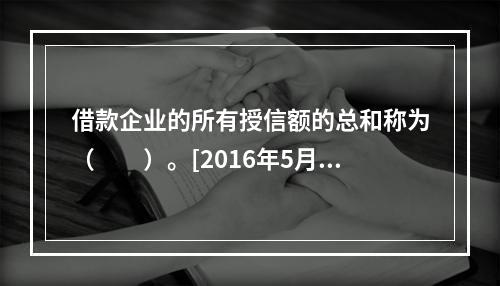 借款企业的所有授信额的总和称为（　　）。[2016年5月真题