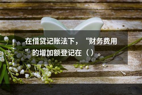 在借贷记账法下，“财务费用”的增加额登记在（ ）。