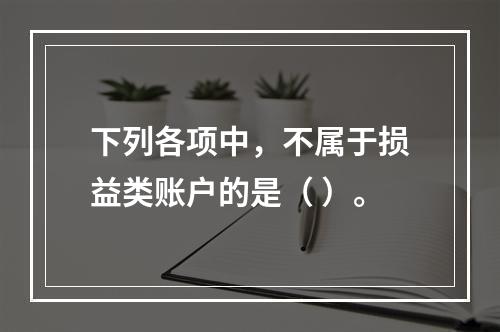 下列各项中，不属于损益类账户的是（ ）。