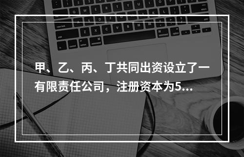 甲、乙、丙、丁共同出资设立了一有限责任公司，注册资本为50万