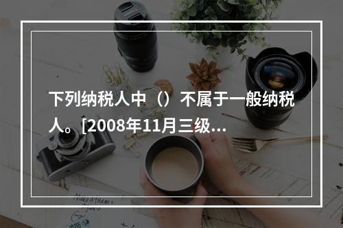 下列纳税人中（）不属于一般纳税人。[2008年11月三级真题