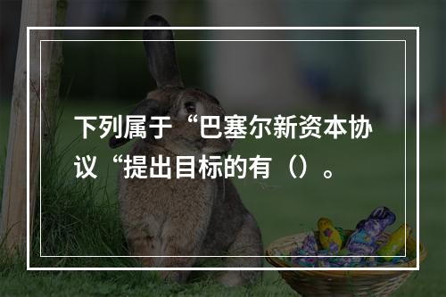 下列属于“巴塞尔新资本协议“提出目标的有（）。