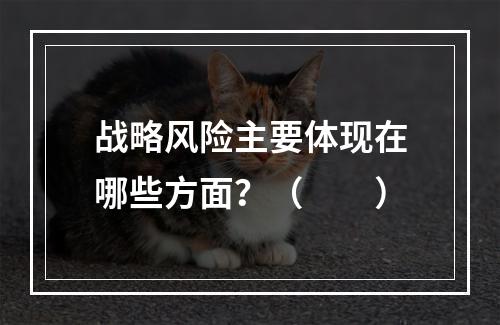 战略风险主要体现在哪些方面？（　　）