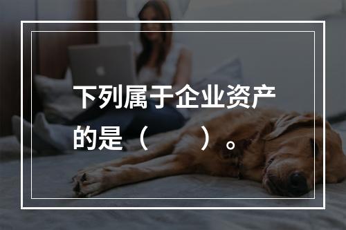 下列属于企业资产的是（　　）。