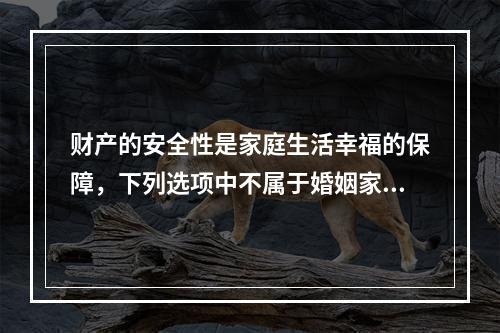 财产的安全性是家庭生活幸福的保障，下列选项中不属于婚姻家庭中