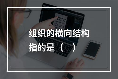 组织的横向结构指的是（　）