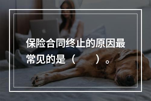 保险合同终止的原因最常见的是（　　）。