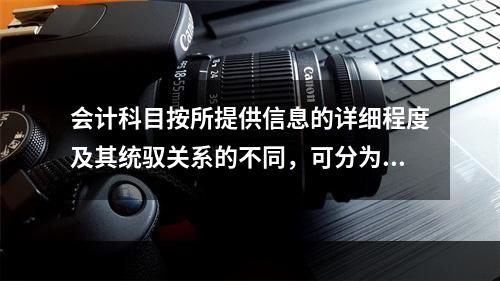 会计科目按所提供信息的详细程度及其统驭关系的不同，可分为（