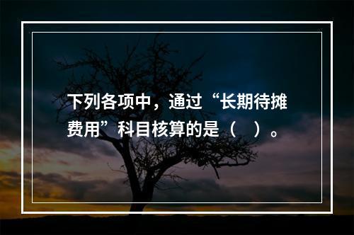 下列各项中，通过“长期待摊费用”科目核算的是（　）。