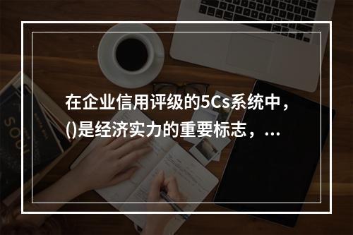 在企业信用评级的5Cs系统中，()是经济实力的重要标志，也是