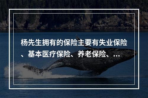 杨先生拥有的保险主要有失业保险、基本医疗保险、养老保险、第三