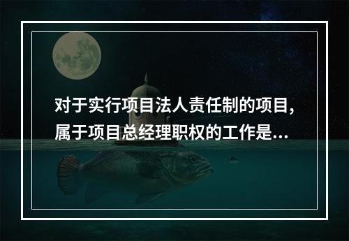 对于实行项目法人责任制的项目,属于项目总经理职权的工作是(