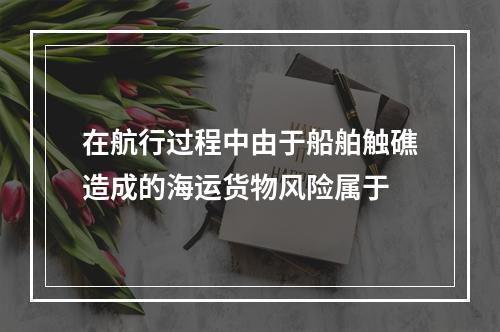 在航行过程中由于船舶触礁造成的海运货物风险属于