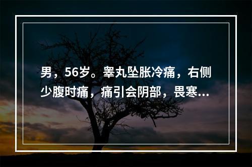 男，56岁。睾丸坠胀冷痛，右侧少腹时痛，痛引会阴部，畏寒肢冷