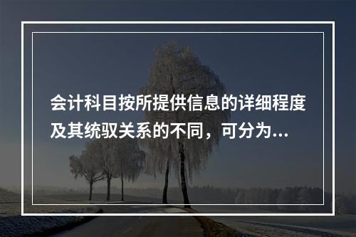 会计科目按所提供信息的详细程度及其统驭关系的不同，可分为（