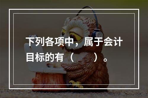 下列各项中，属于会计目标的有（　　）。