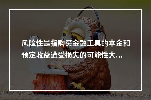 风险性是指购买金融工具的本金和预定收益遭受损失的可能性大小。