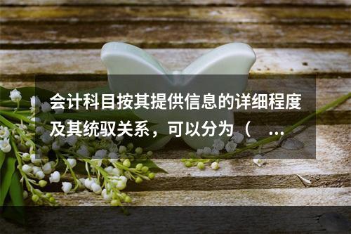 会计科目按其提供信息的详细程度及其统驭关系，可以分为（　　）