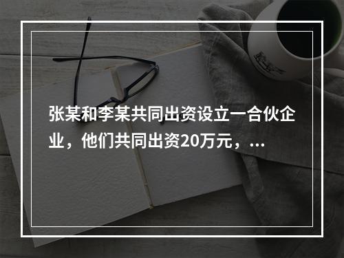 张某和李某共同出资设立一合伙企业，他们共同出资20万元，一年