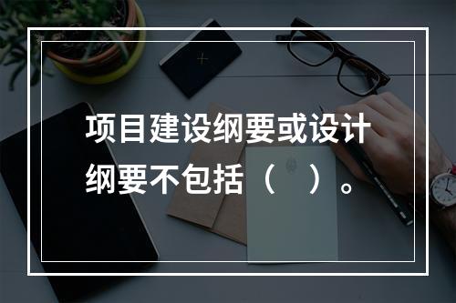 项目建设纲要或设计纲要不包括（　）。